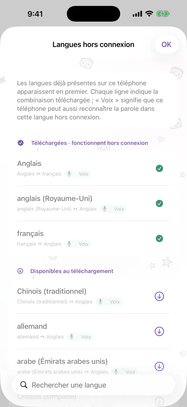 Sans connexion, la traduction continue