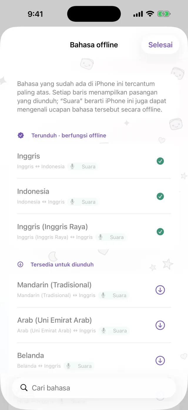 Tanpa koneksi, tetap bisa menerjemahkan