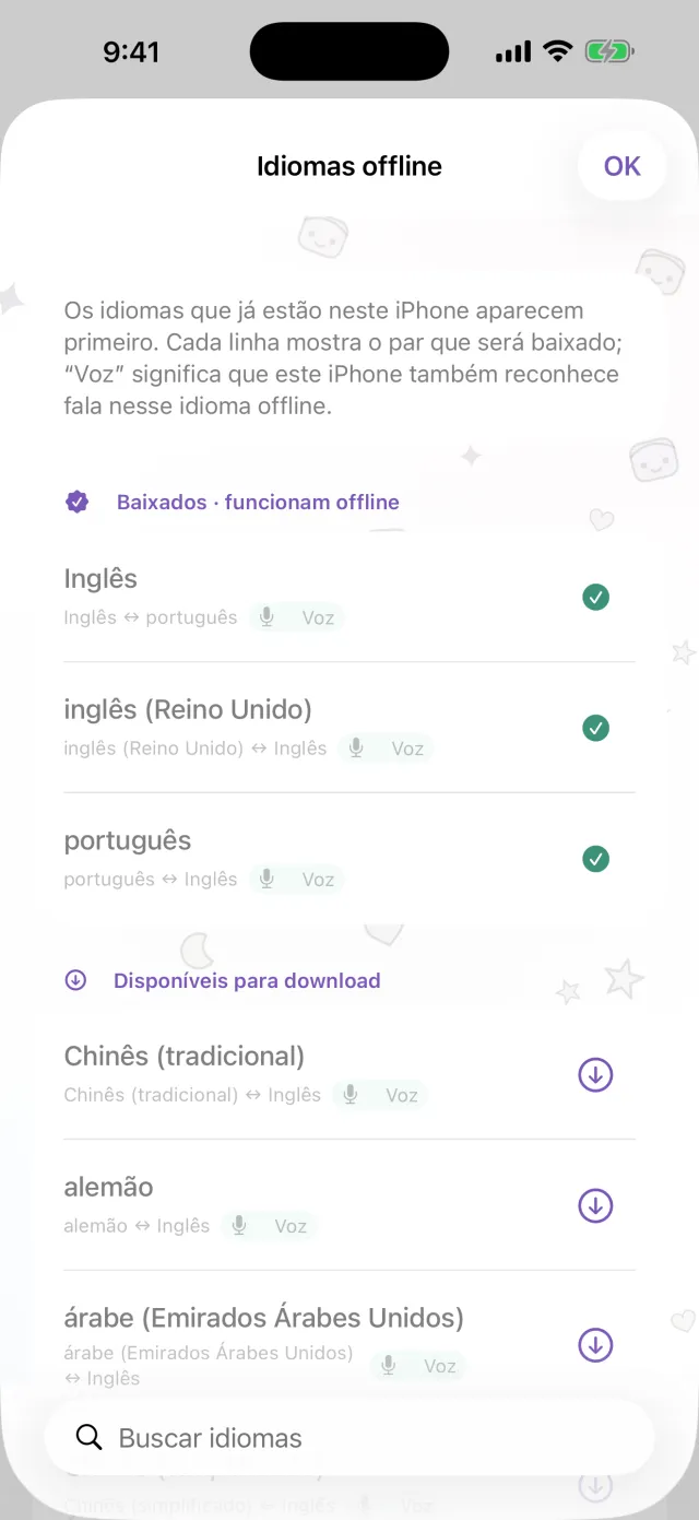 Traduza sem conexão