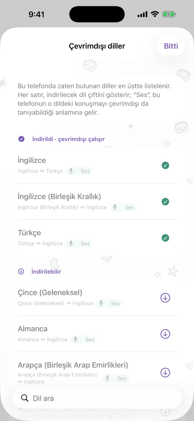 Bağlantı yokken de çeviri yapar